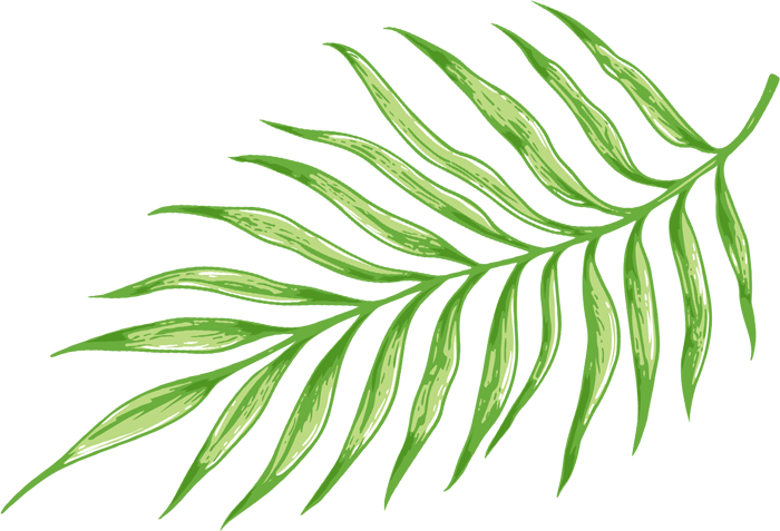 palmLeaf2