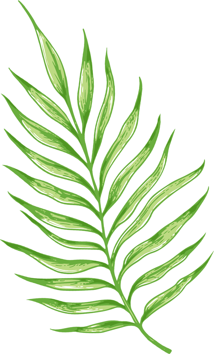 palm lea3 e1607194100778